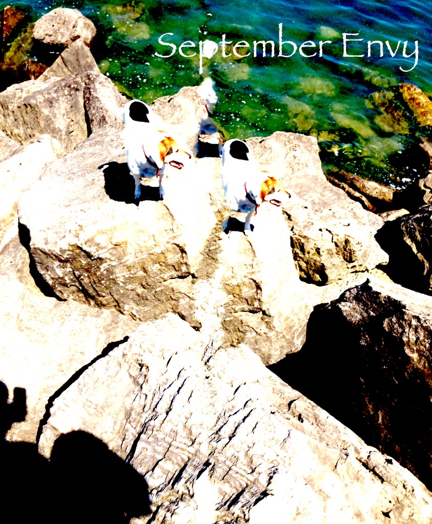 beats in key music september envy